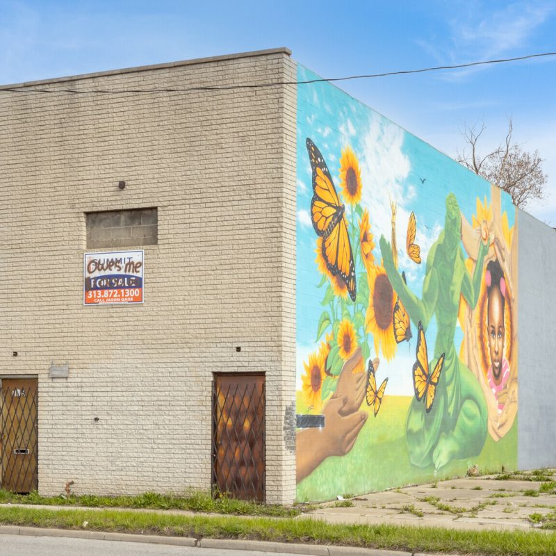 729-E-7-Mile-Rd-Detroit-MI-Primary-Photo-3-LargeHighDefinition (2)