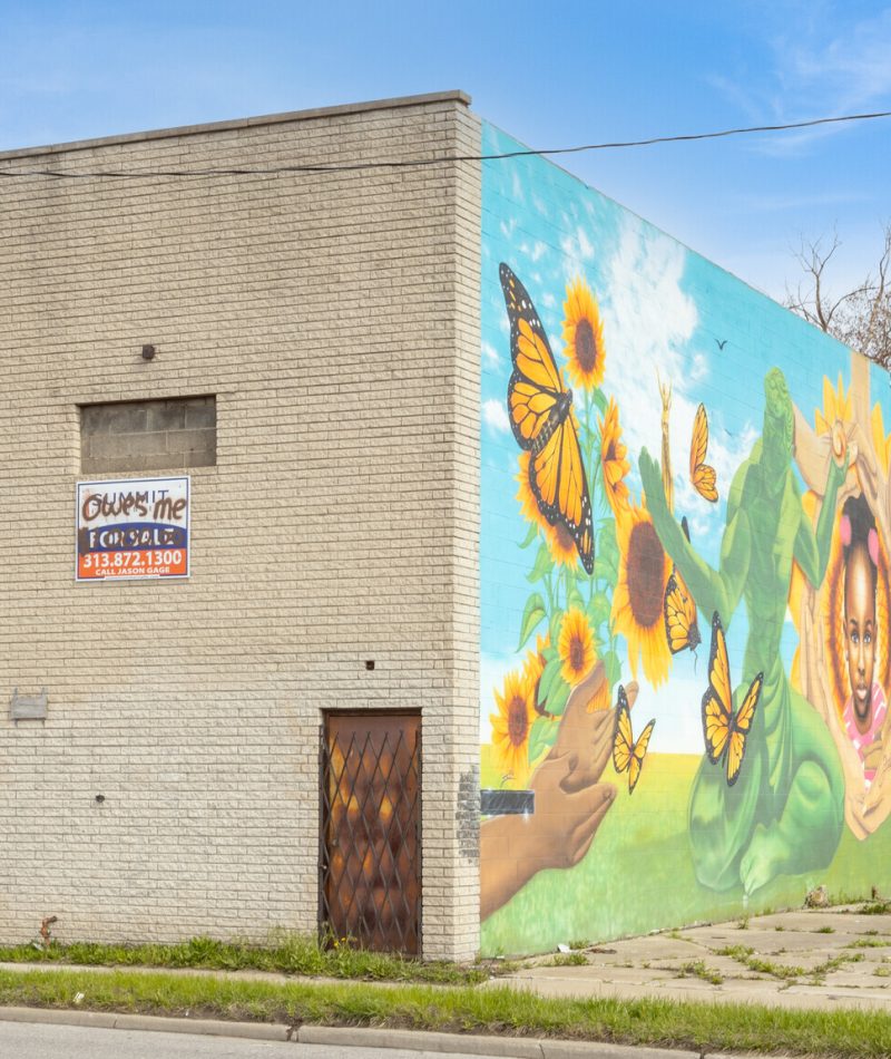 729-E-7-Mile-Rd-Detroit-MI-Primary-Photo-3-LargeHighDefinition (2)